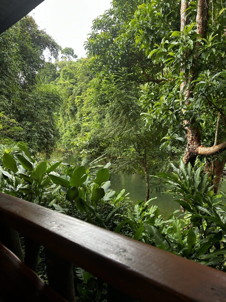 Khao Sok Riverside Cottages