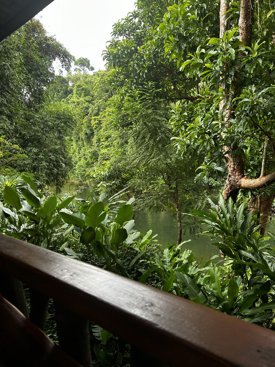 Khao Sok Riverside Cottages