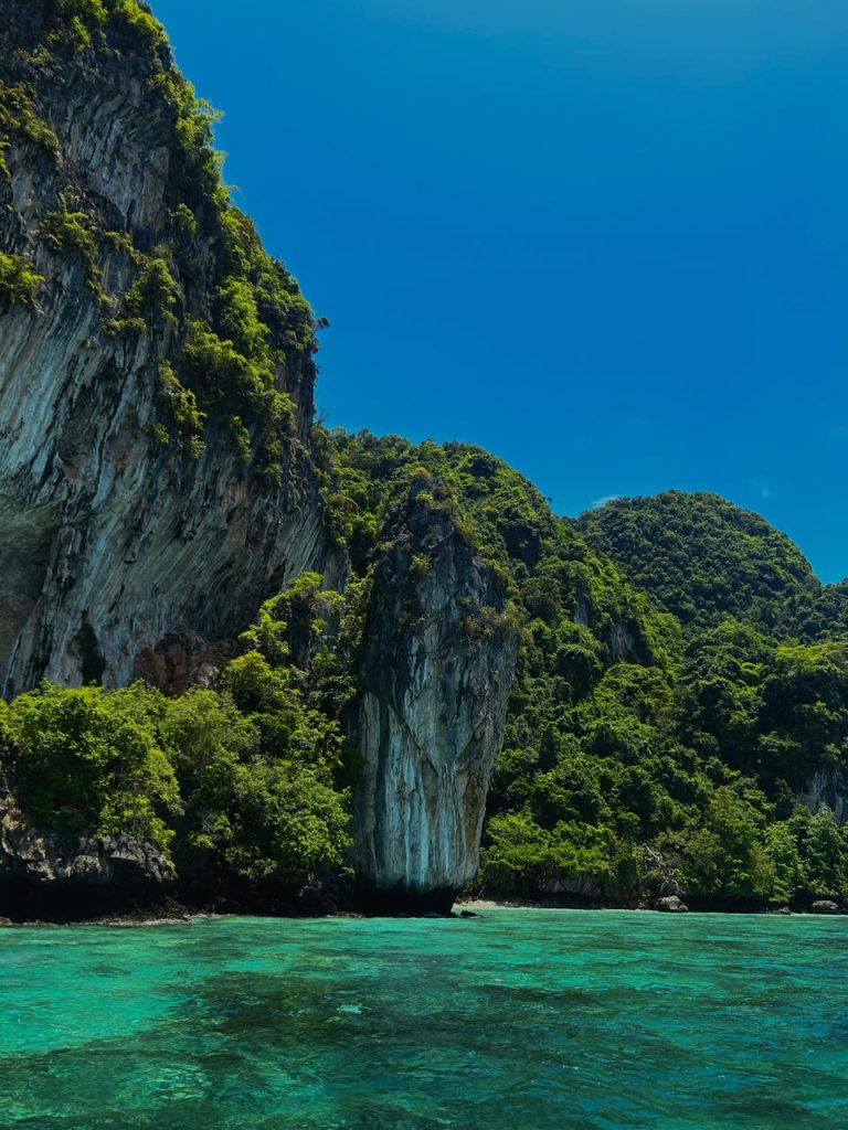 Phi Phi islands tour