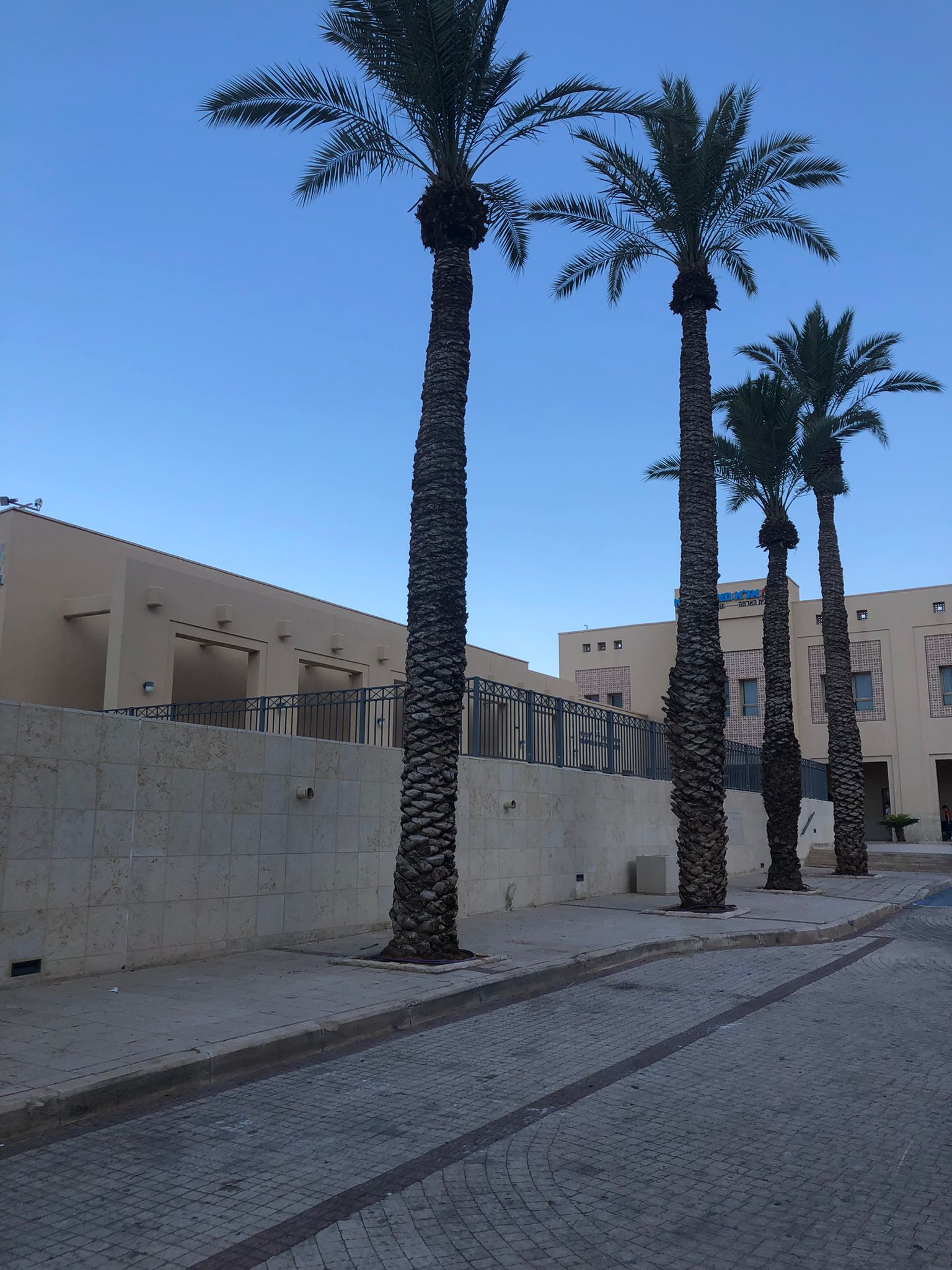 Masada hotel